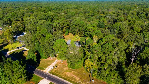 a view of a large yard with lots of plants
