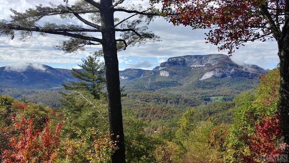 1689 Found Forest Road Cashiers, NC 28717 - Photo 3 of 23 Gallery Image 3