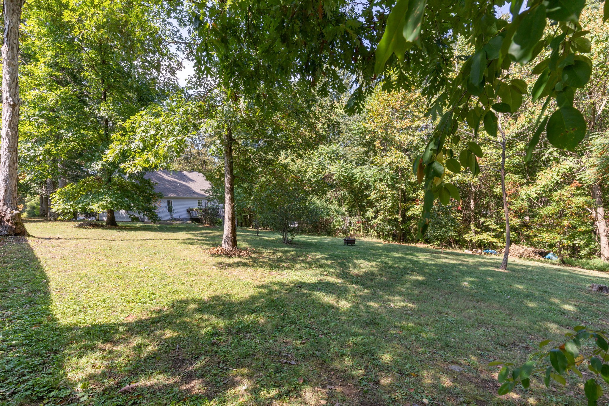 137 Gaskins Road Dickson, TN 37055 - Photo 13 of 58 a view of a trees with a yard