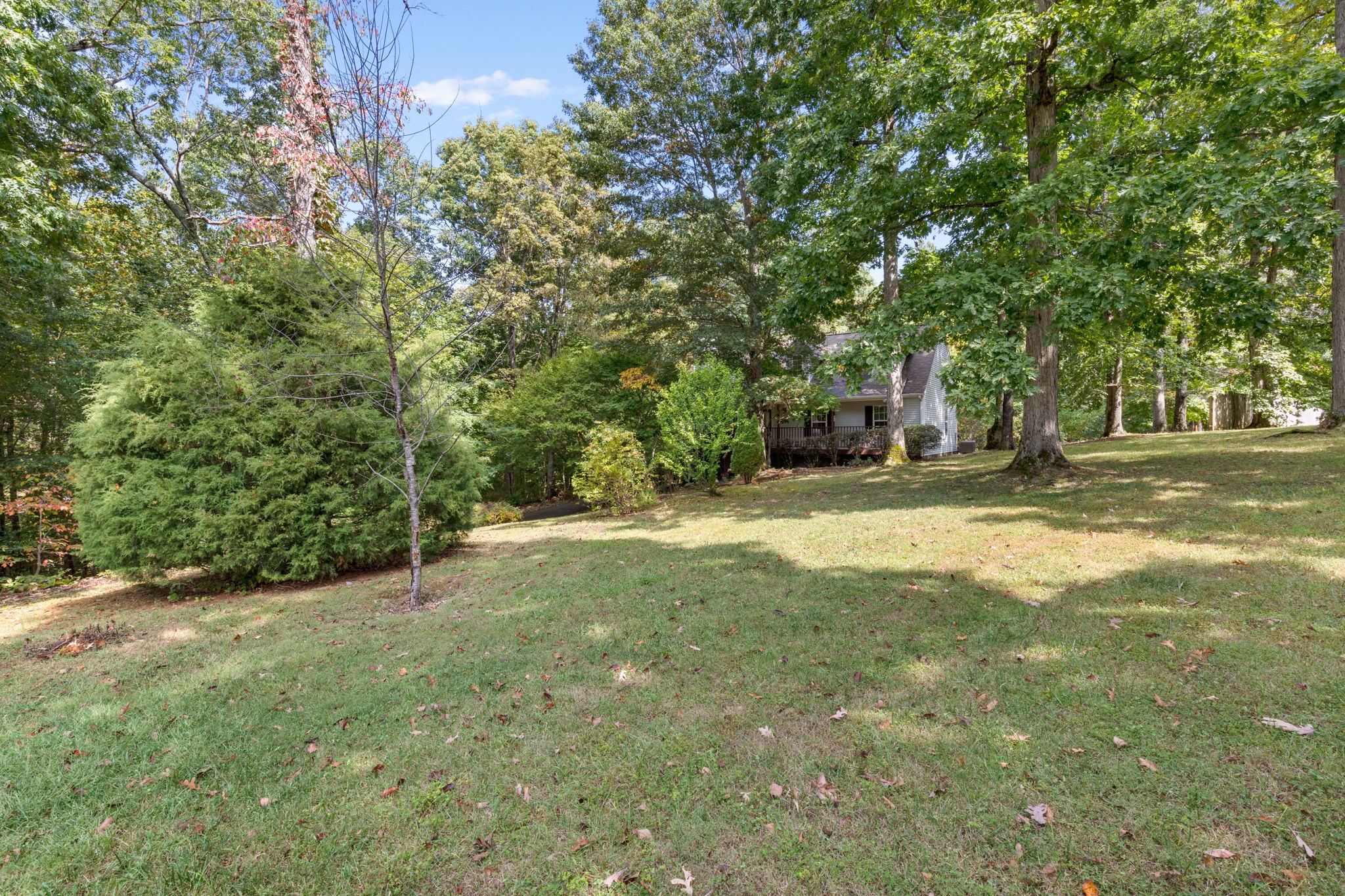 137 Gaskins Road Dickson, TN 37055 - Photo 5 of 58 a view of a yard with plants and trees