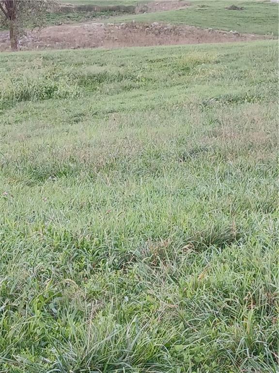Lot 1 Bruns Road Richmond, MO 64085 - Photo 12 of 15