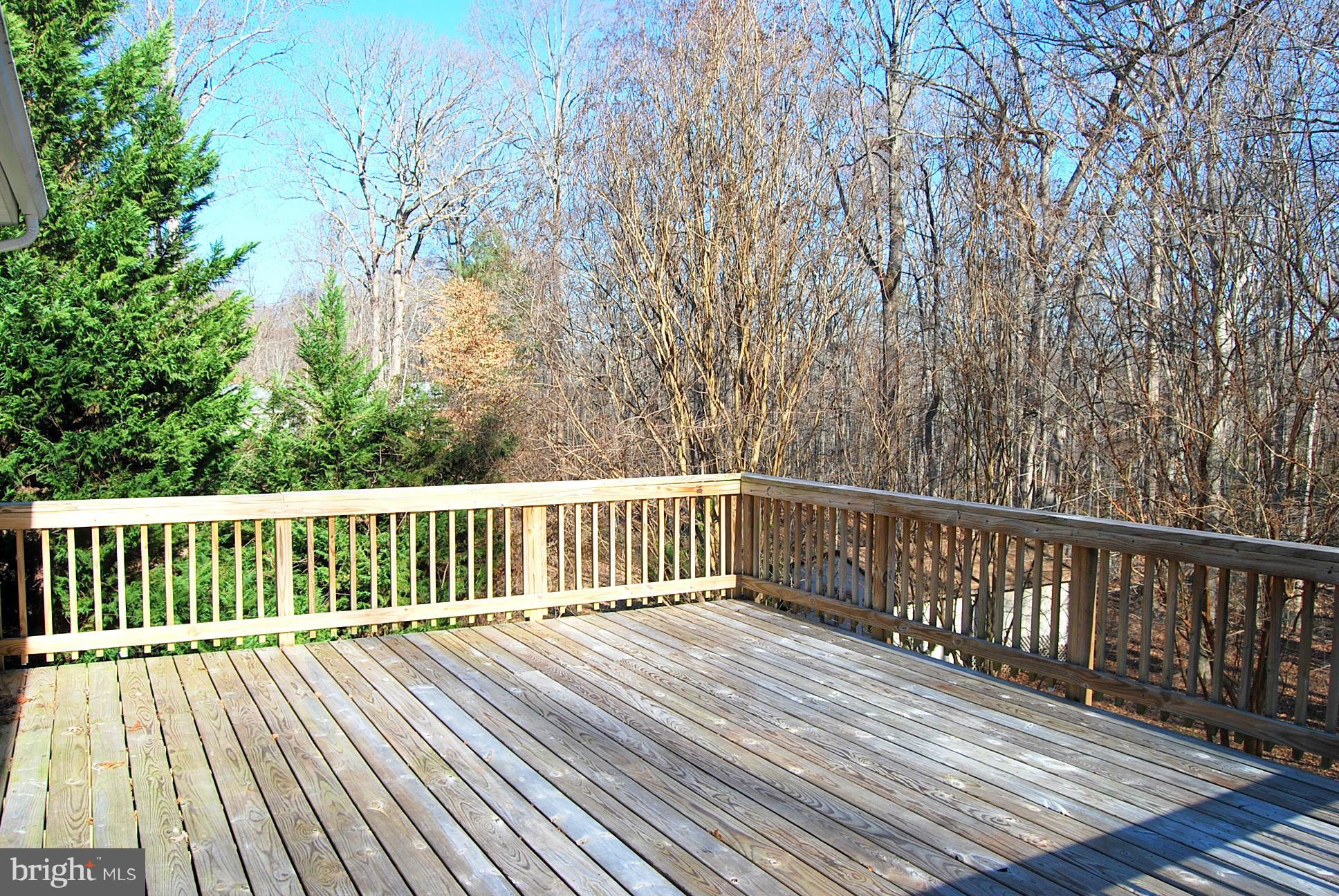 123 Potomac Run Road Fredericksburg, VA 22405 - Photo 20 of 22 Rear deck