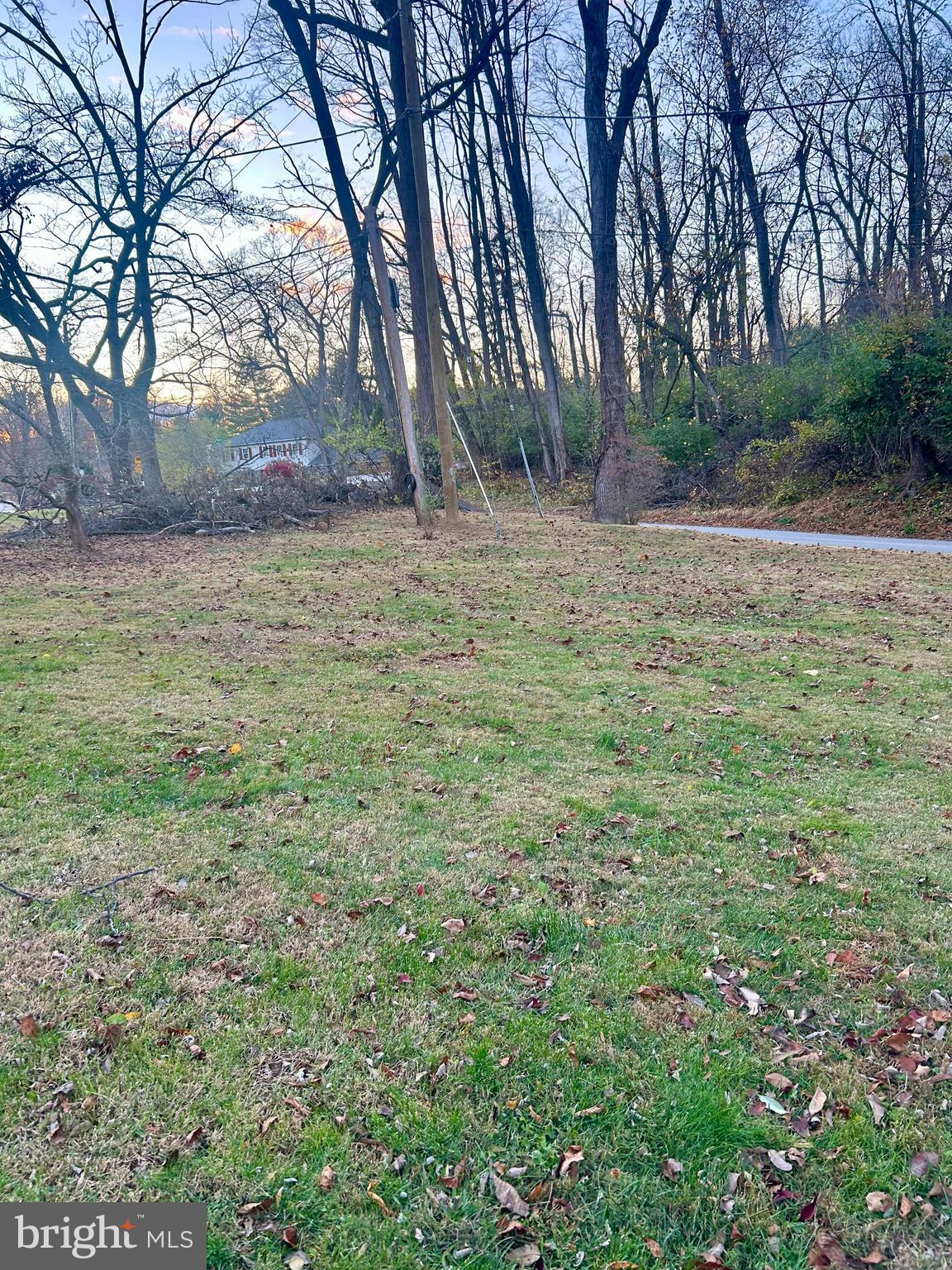 1007 Jones Road Conshohocken, PA 19428 - Photo 26 of 26 a backyard of a house with lots of green space