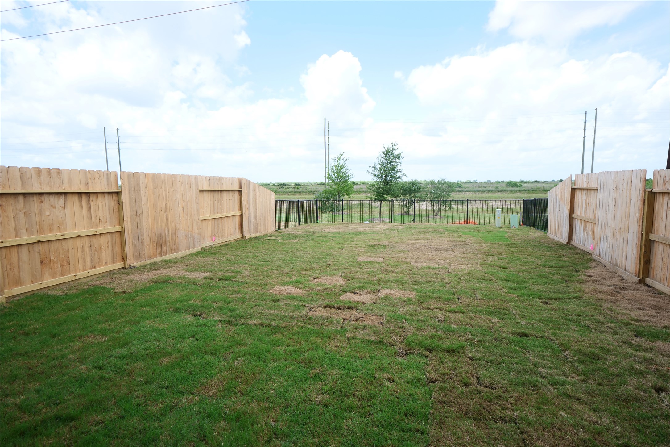 5110 Prairie Terrace Fulshear, TX 77441 - Photo 31 of 31 a backyard of a house with lots of green space