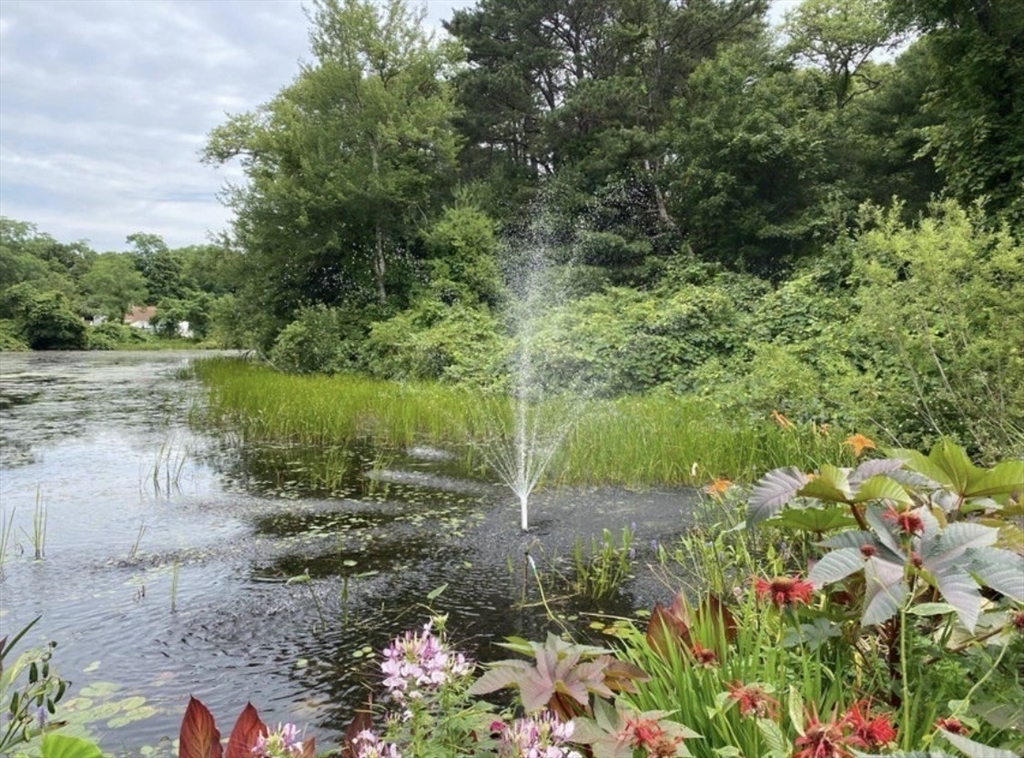 8 Scraggy Neck Rd Extension Bourne, MA 02534 - Photo 5 of 17 a view of a garden with plants and large trees