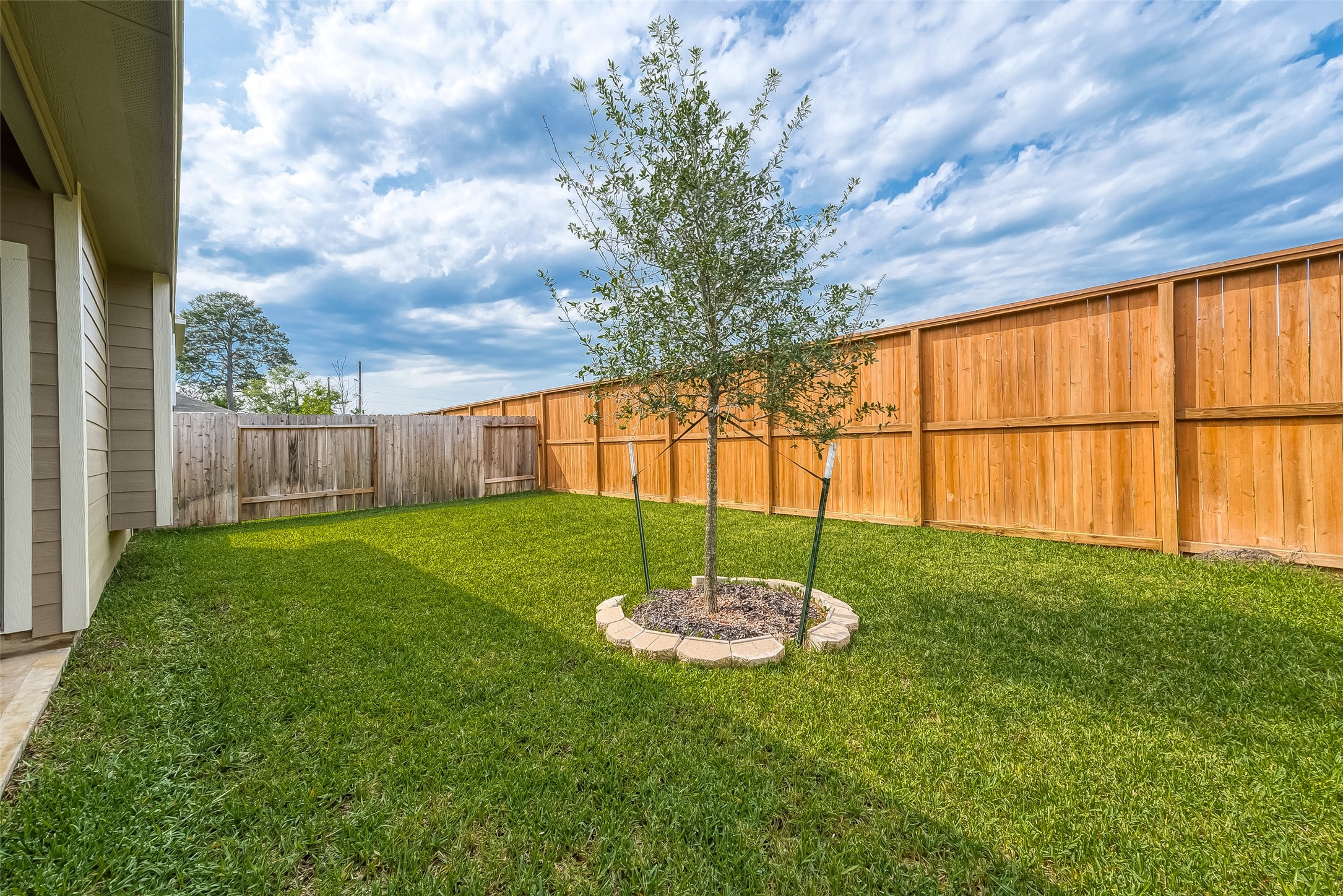 1317 Mount Bassie Trail Conroe, TX 77301 - Photo 47 of 50 a backyard of a house with a fountain plants and large tree