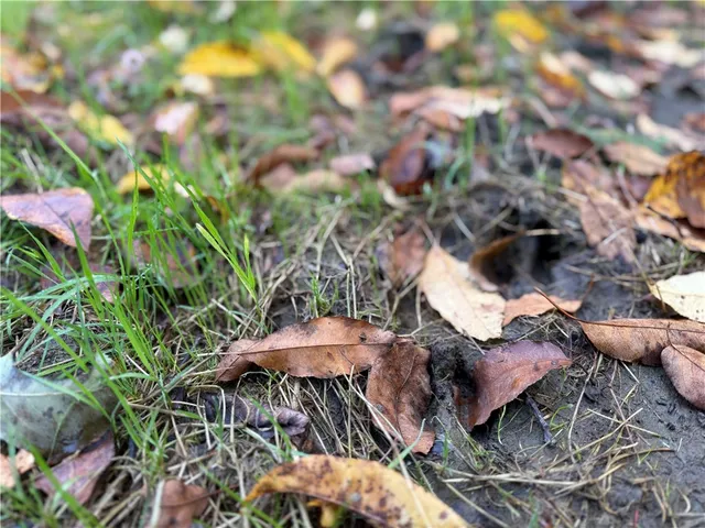 $274,900 | 2575 Smith Road, Sempronius, NY 13118