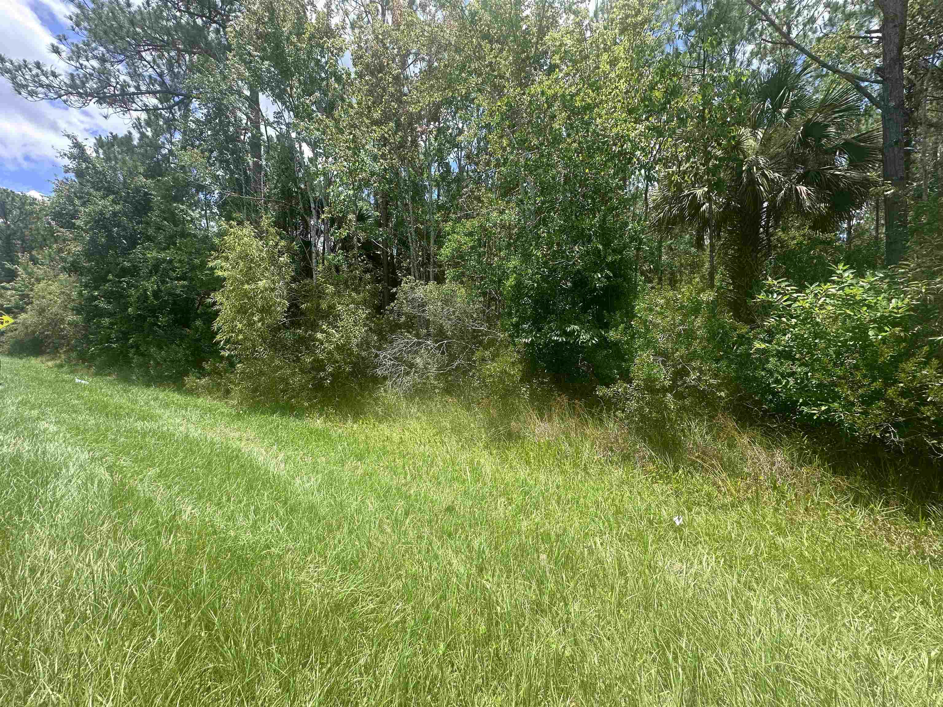 7537 Highway 1 St. Augustine, FL 32086 - Photo 9 of 14 a view of a lush green space and trees in the background