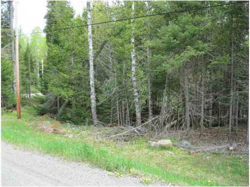 Lot B Dodge Pond Road Rangeley, ME 04970 - Photo 7 of 10 Land/Lot.
