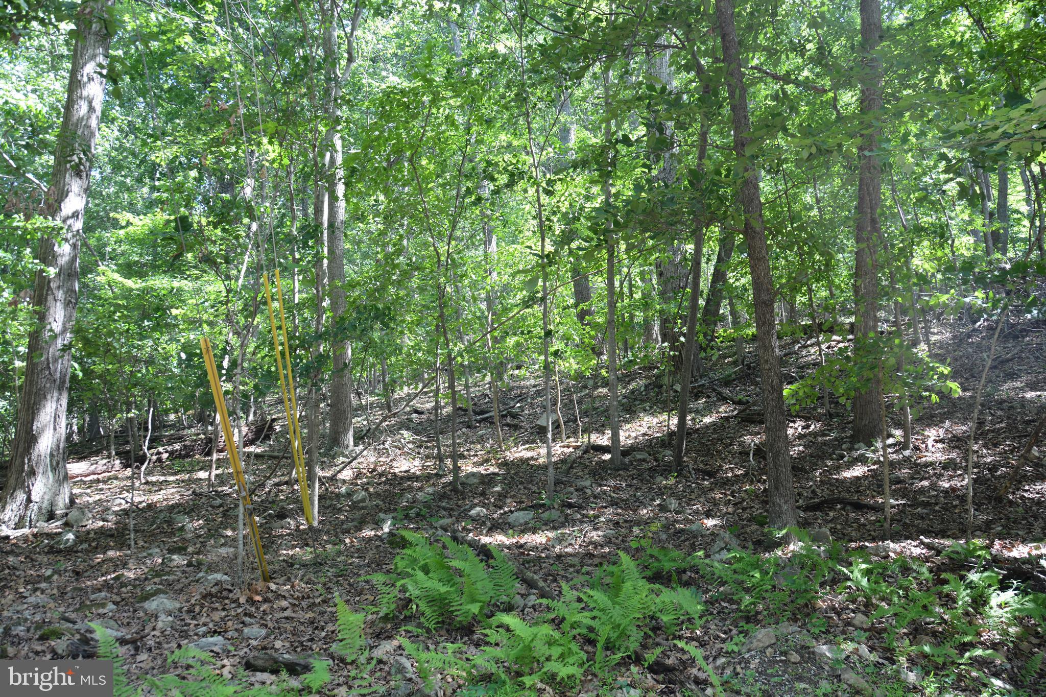 59 60 61 Baldwin Road Front Royal, VA 22630 - Photo 20 of 23