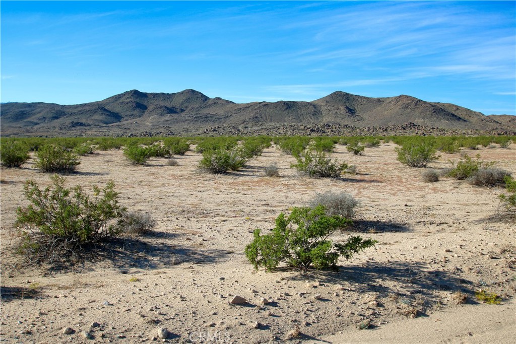 63305 Rainier Road Joshua Tree, CA 92252 - Photo 9 of 20 a view of a dry top and mountain in the distance
