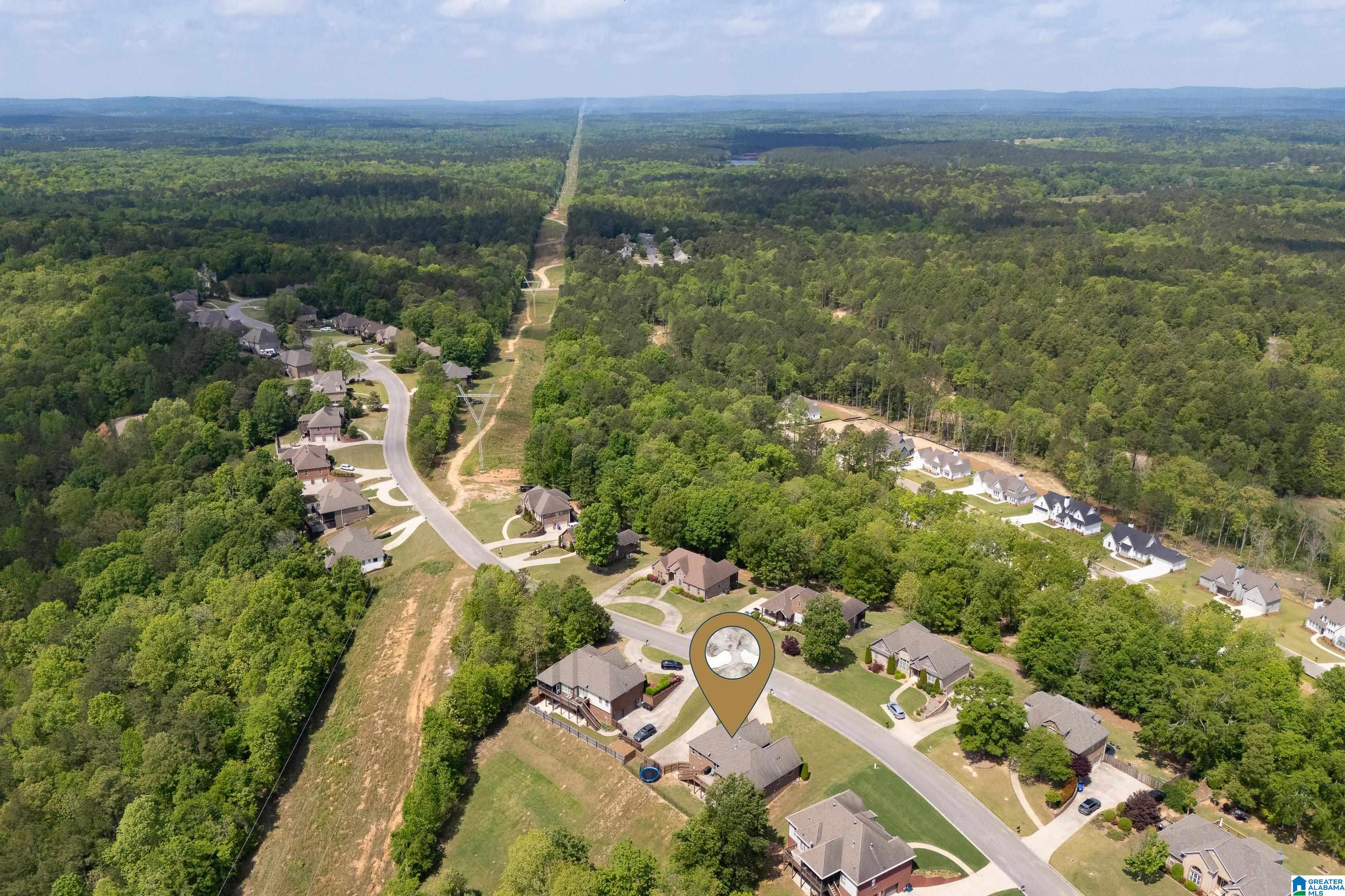 2120 Chelsea Rdg Drive Columbiana, AL 35051 - Photo 61 of 64