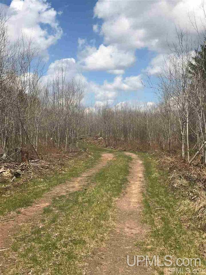 Tbd South Casey Lake Road Ishpeming, MI 49849 - Photo 39 of 40