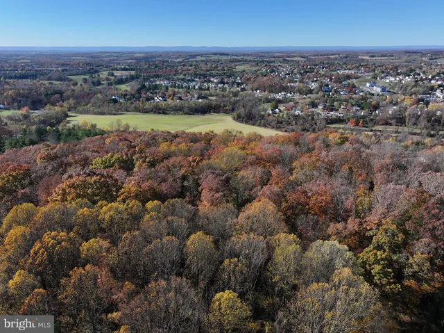 an aerial view of residential houses with outdoor space and trees