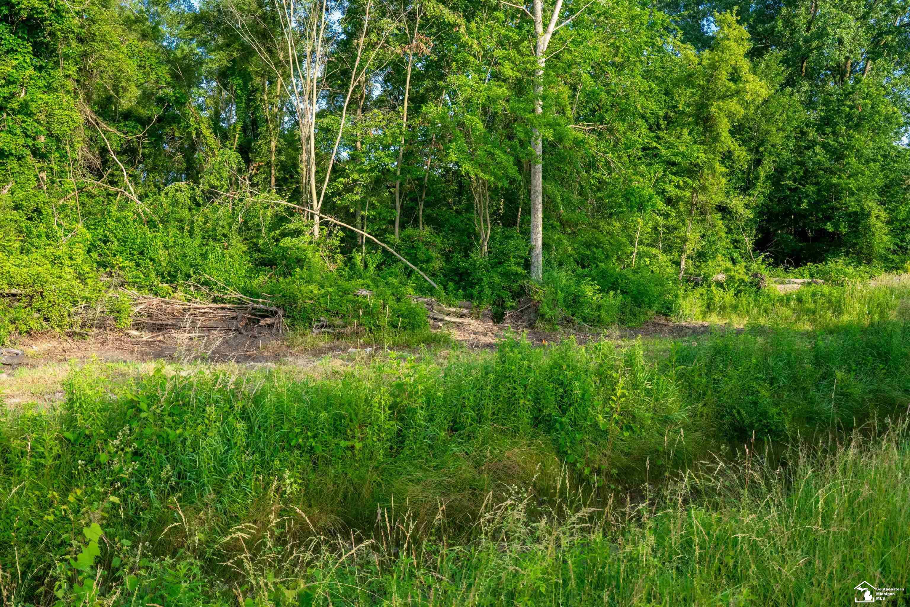 Parcel D Timbers Road Carleton, MI 48117 - Photo 20 of 20
