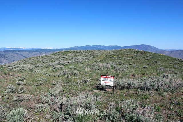 0 Rd E Northwest Waterville, WA 98858 - Photo 11 of 14 a view of a dry yard with mountains in the background