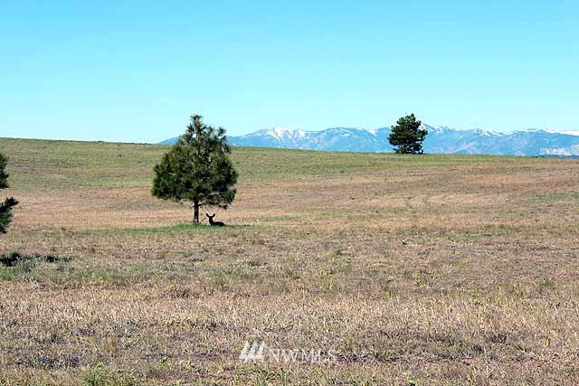 0 Rd E Northwest Waterville, WA 98858 - Photo 3 of 14 a view of a lake view