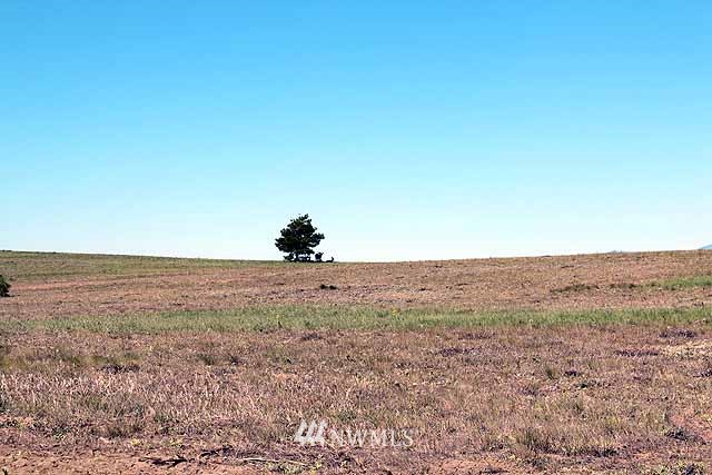 0 Rd E Northwest Waterville, WA 98858 - Photo 4 of 14 a view of a field