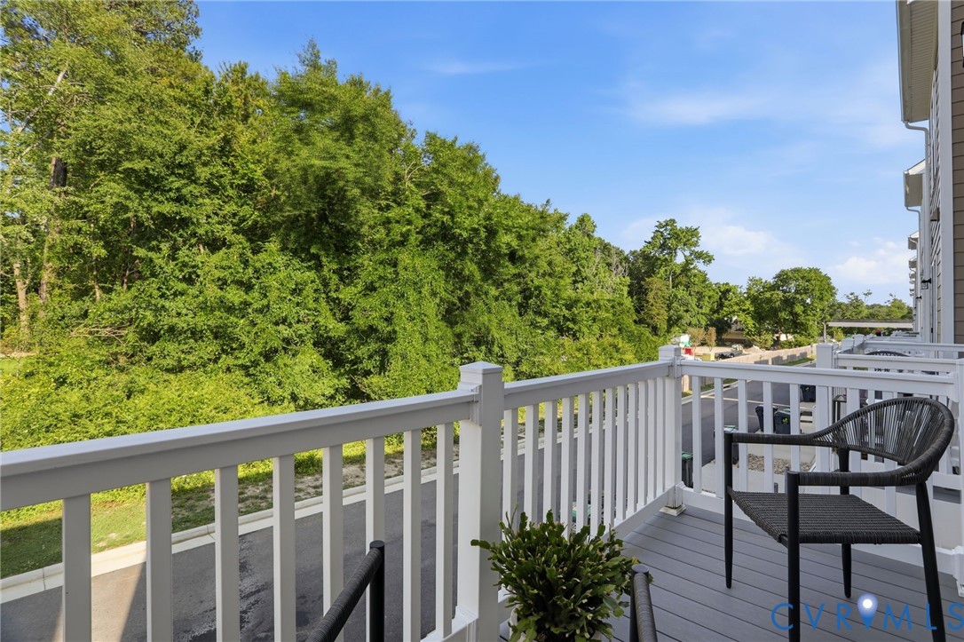 1231 Ewing Pk Loop Midlothian, VA 23113 - Photo 33 of 45