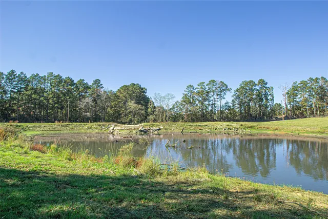 a view of a lake with trees in the background