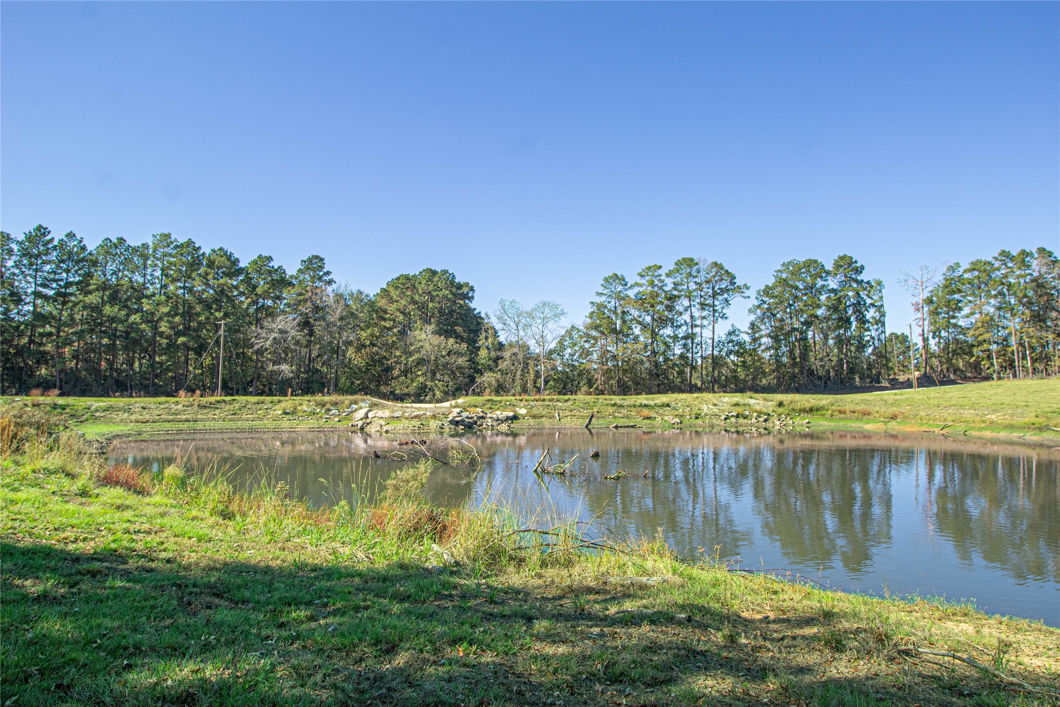 1275 Castlewood Road Livingston, TX 77351 - Photo 12 of 50 a view of a lake with trees in the background