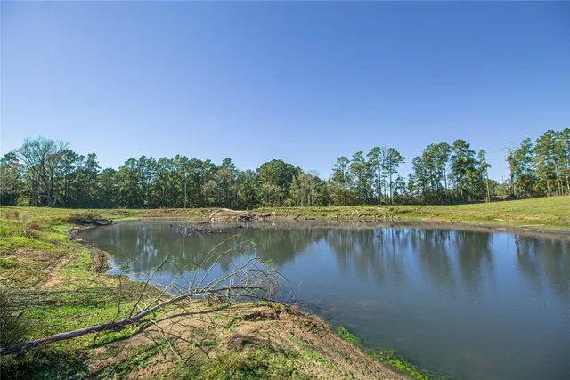 a view of a lake with a yard and large trees