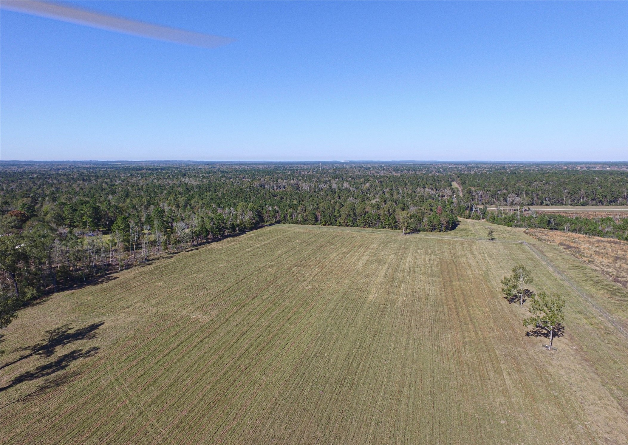 1275 Castlewood Road Livingston, TX 77351 - Photo 7 of 50 a view of an ocean beach