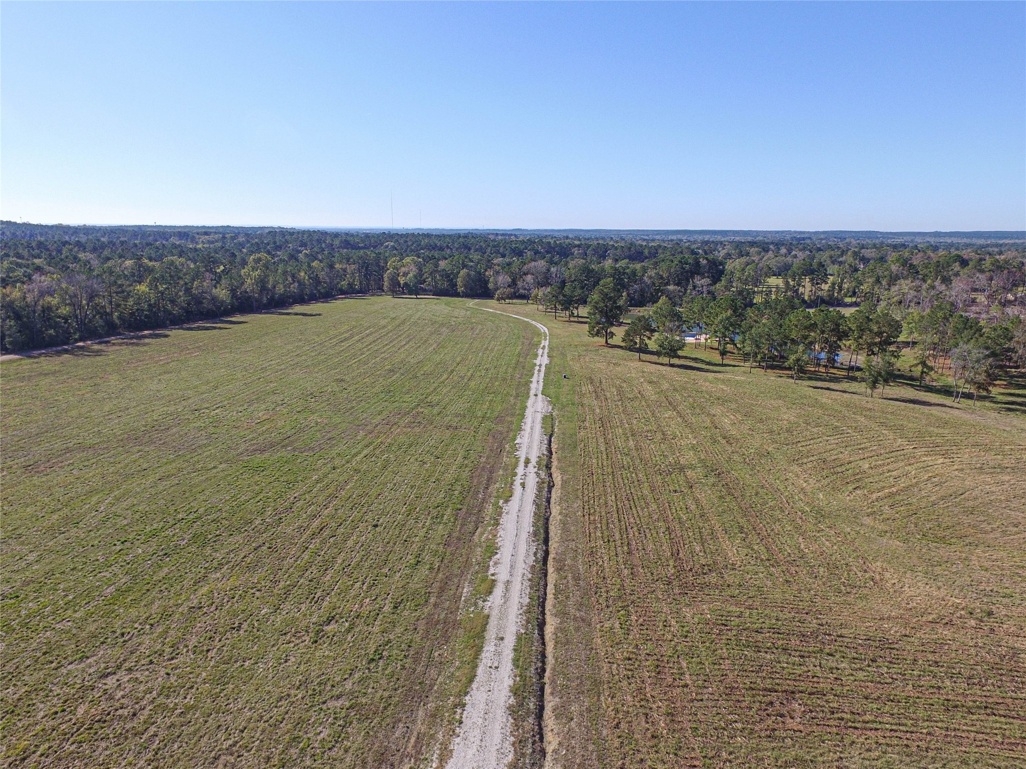 1275 Castlewood Road Livingston, TX 77351 - Photo 9 of 50 a view of a swimming pool and an outdoor space