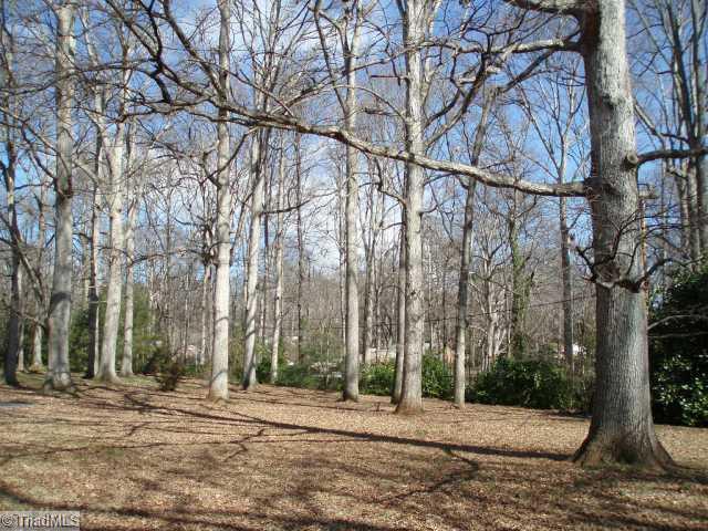 813 Chester Road Winston-Salem, NC 27104 - Photo 3 of 6 Land/Lot. Level lot with mature landscaping and trees.