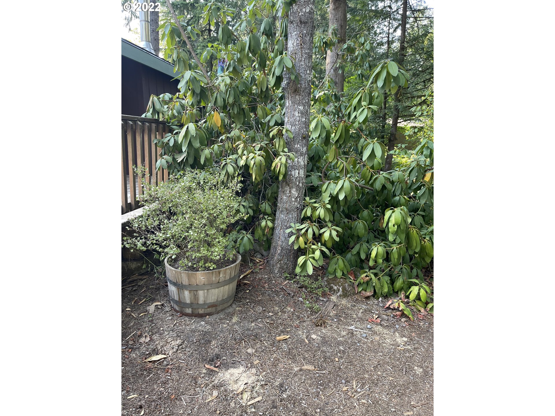 64950 East Lupine Drive Rhododendron, OR 97049 - Photo 21 of 25 Gallery Image 21