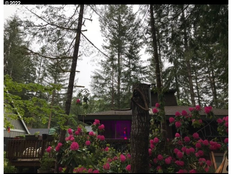 64950 East Lupine Drive Rhododendron, OR 97049 - Photo 22 of 25 Shed