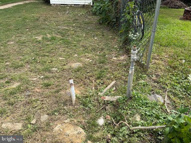 562 Girard Street Havre de Grace, MD 21078 - Photo 6 of 20 a close view of a tree in a yard