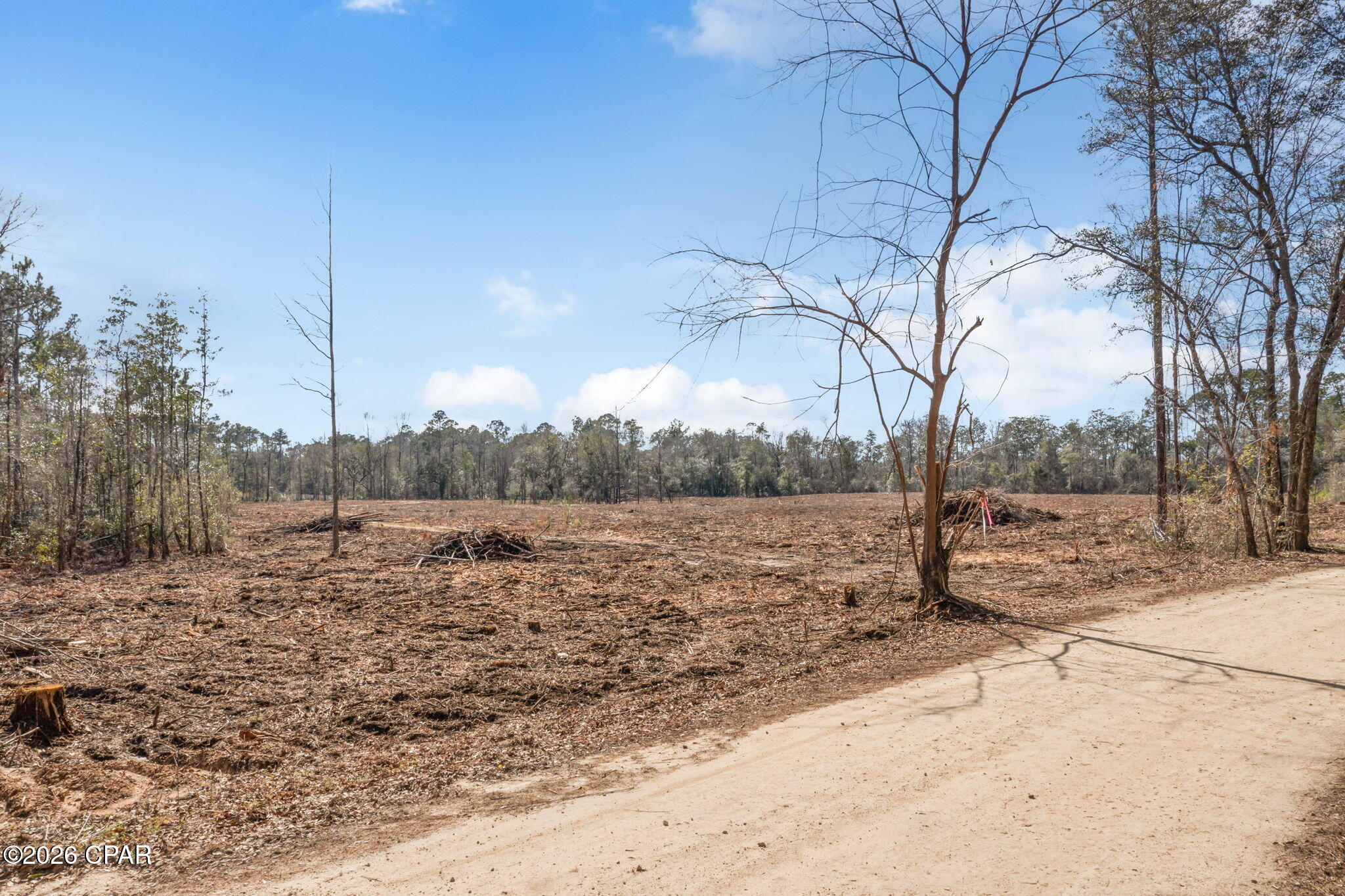 Xxx Tiller Road, Unit NORTH LOT Chipley, FL 32428 - Photo 5 of 19