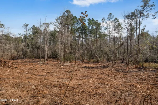 $177,400 | Xxx Tiller Road, Unit NORTH LOT, Chipley, FL 32428