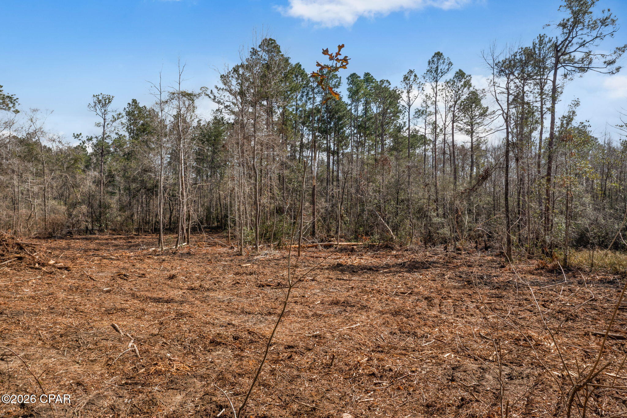 Xxx Tiller Road, Unit NORTH LOT Chipley, FL 32428 - Photo 6 of 19