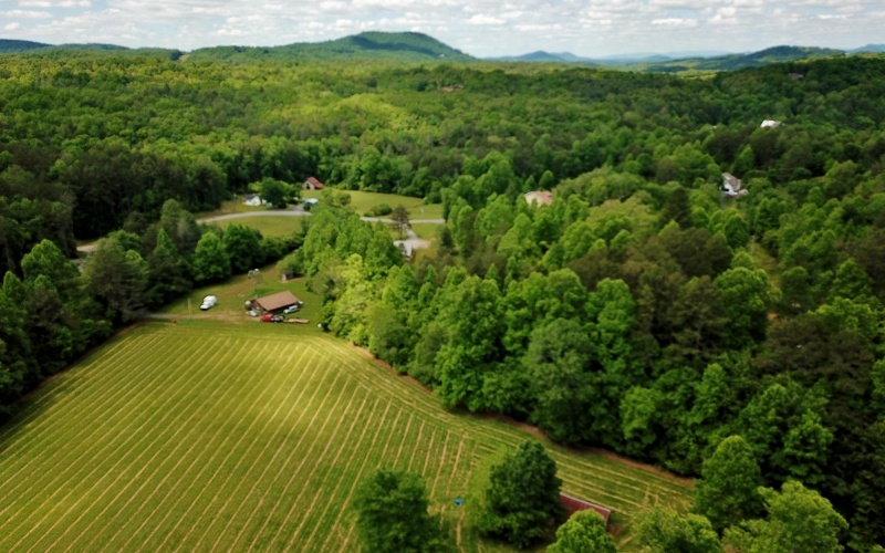 2745 Caney Creek Road Murphy, NC 28906 - Photo 4 of 4 Additional View