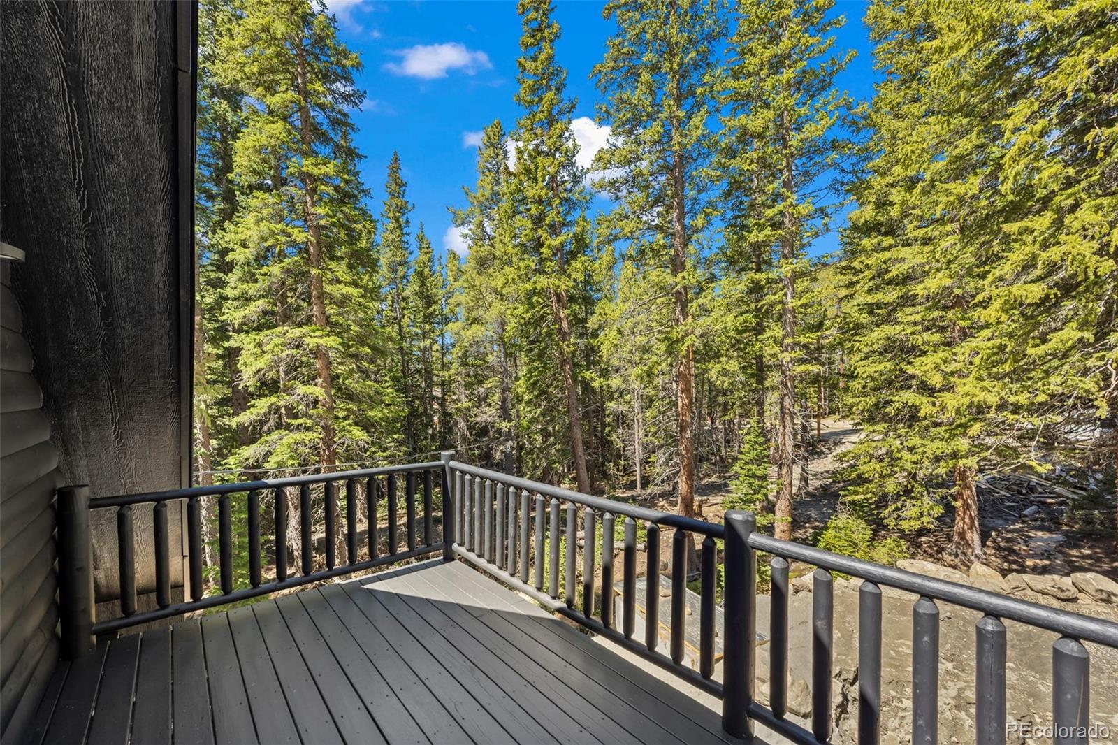 46 Silver Creek Road Idaho Springs, CO 80452 - Photo 16 of 41