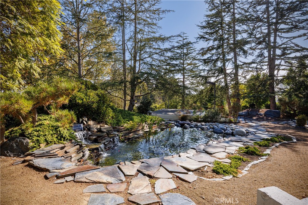 31561 Peppertree-Bend San Juan Capistrano, CA 92675 - Photo 56 of 58 a view of a backyard with plants and trees