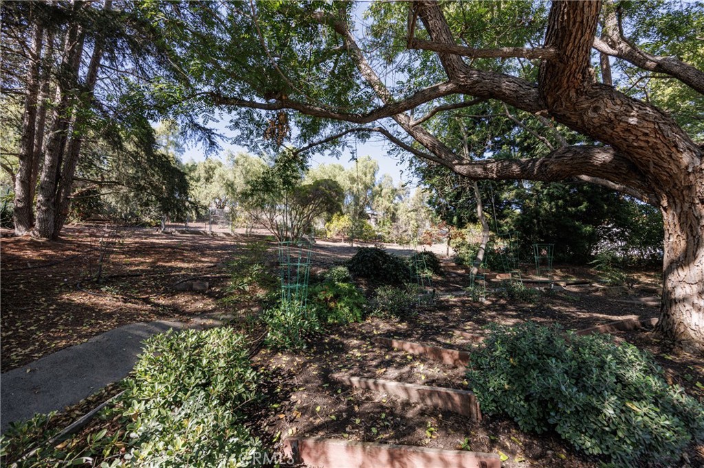 31561 Peppertree-Bend San Juan Capistrano, CA 92675 - Photo 57 of 58 a view of outdoor space and covered with green space