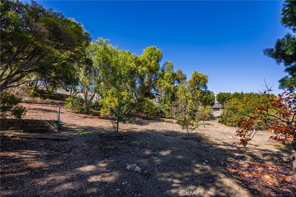 31561 Peppertree-Bend San Juan Capistrano, CA 92675 - Photo 58 of 58