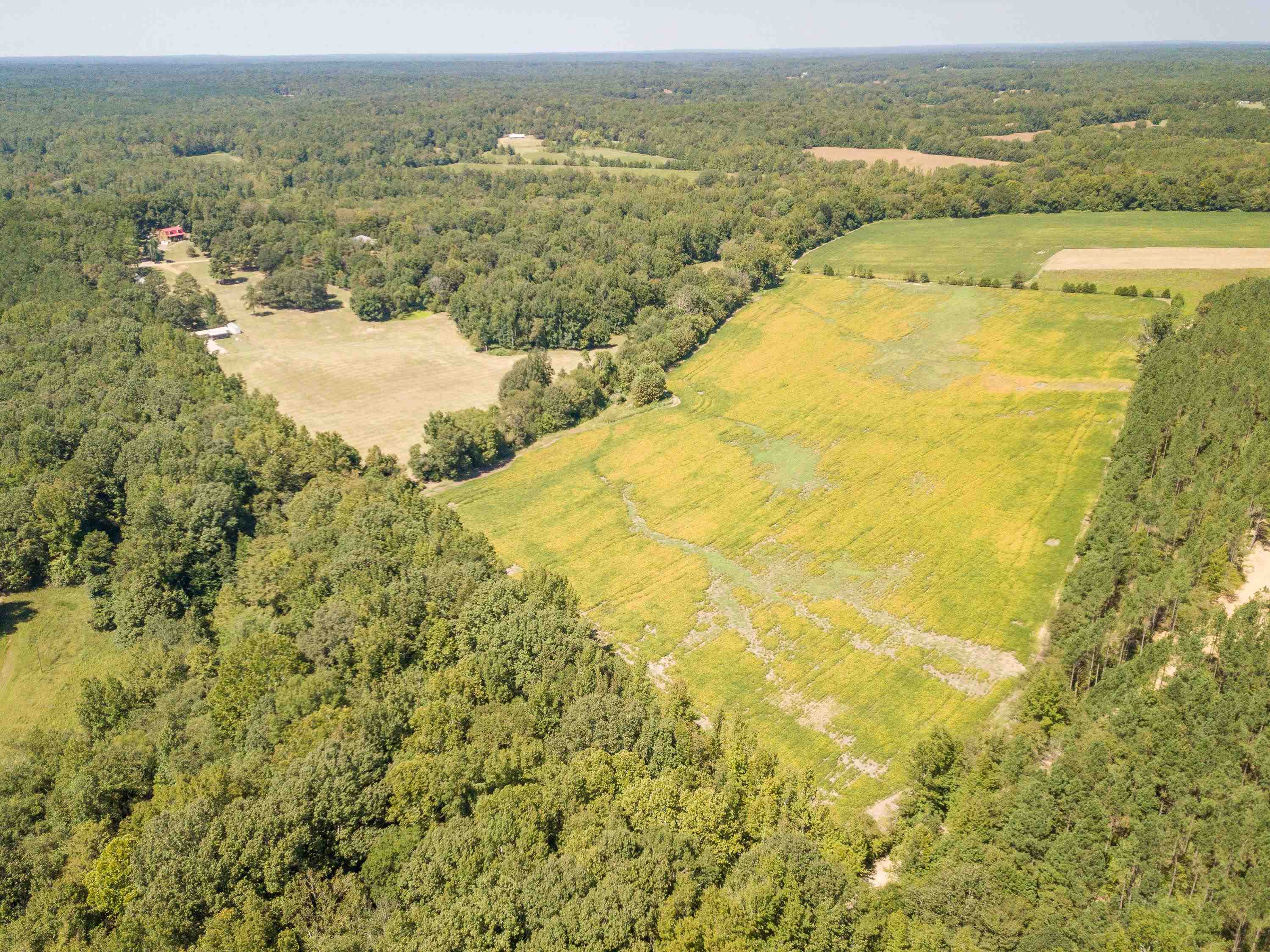 2480 Kennedy Road Middleton, TN 38052 - Photo 3 of 40 Gallery Image 3