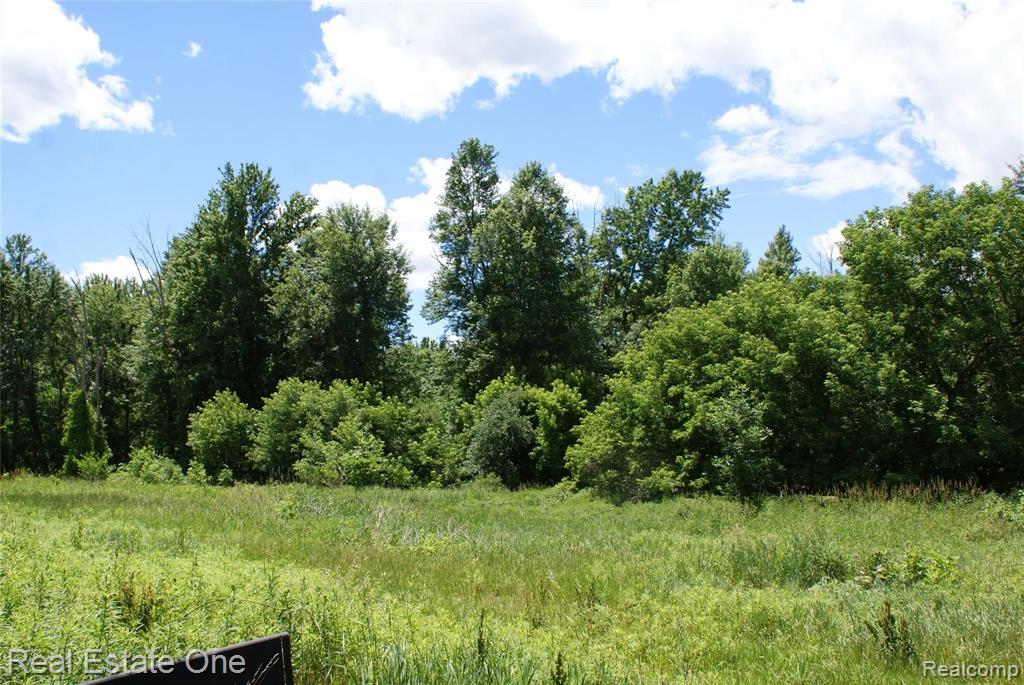 B Millville Road Lapeer, MI 48446 - Photo 8 of 16