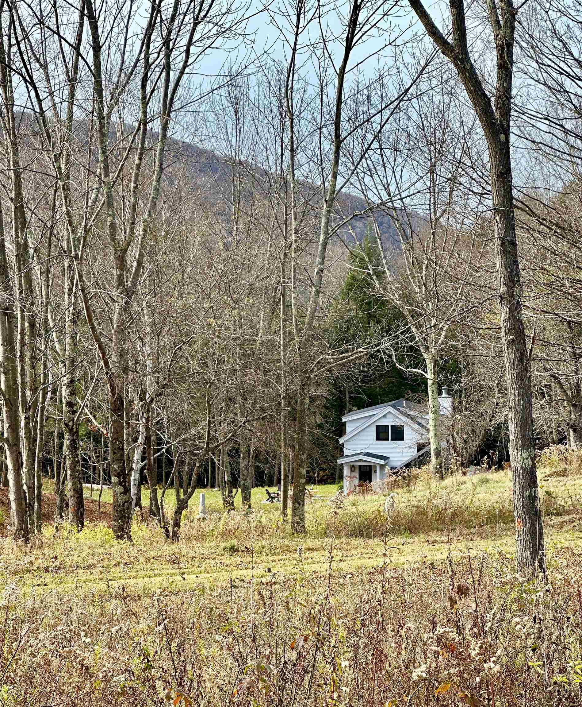 225 Danforth Drive Dorset, VT 05251 - Photo 33 of 40