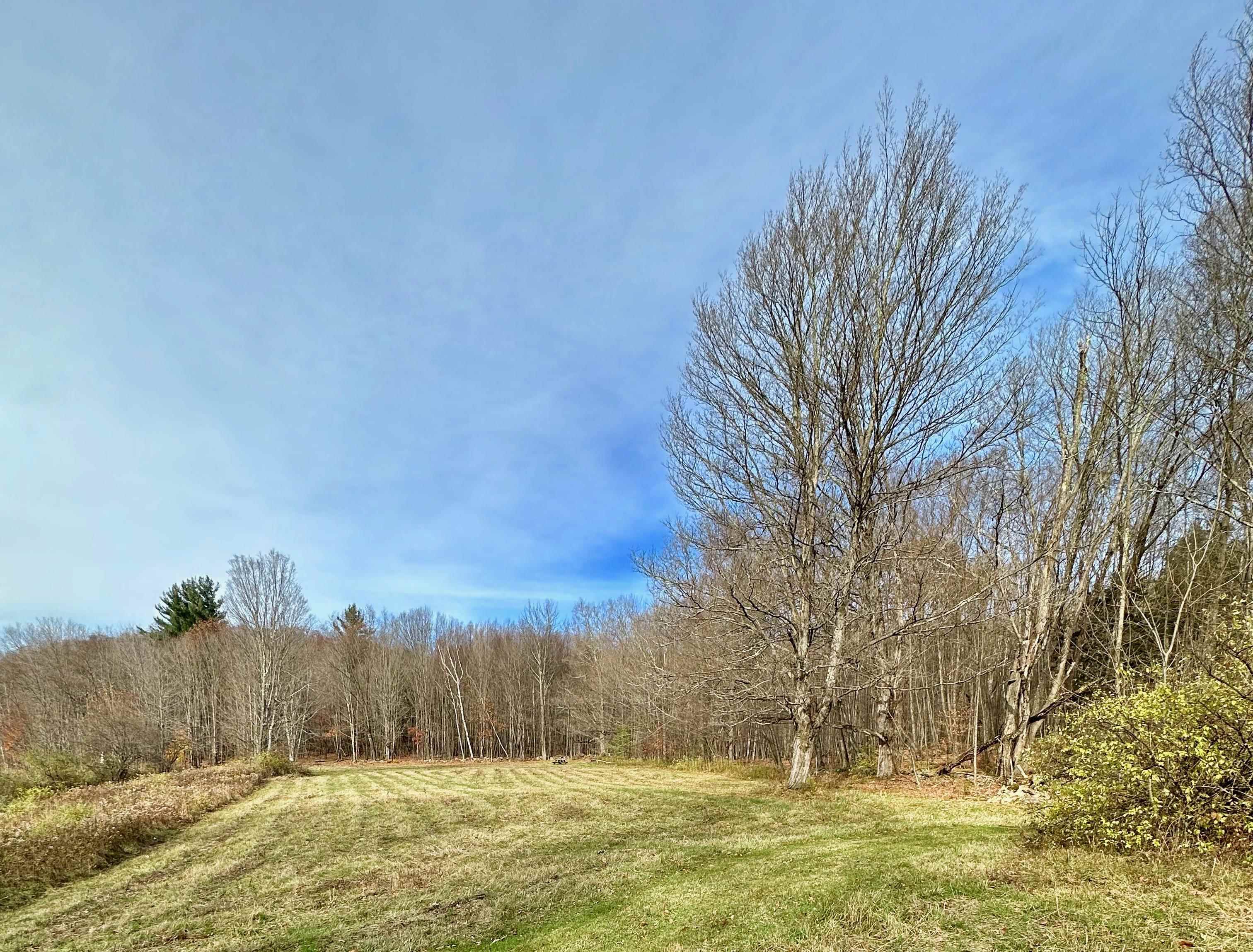 225 Danforth Drive Dorset, VT 05251 - Photo 5 of 40