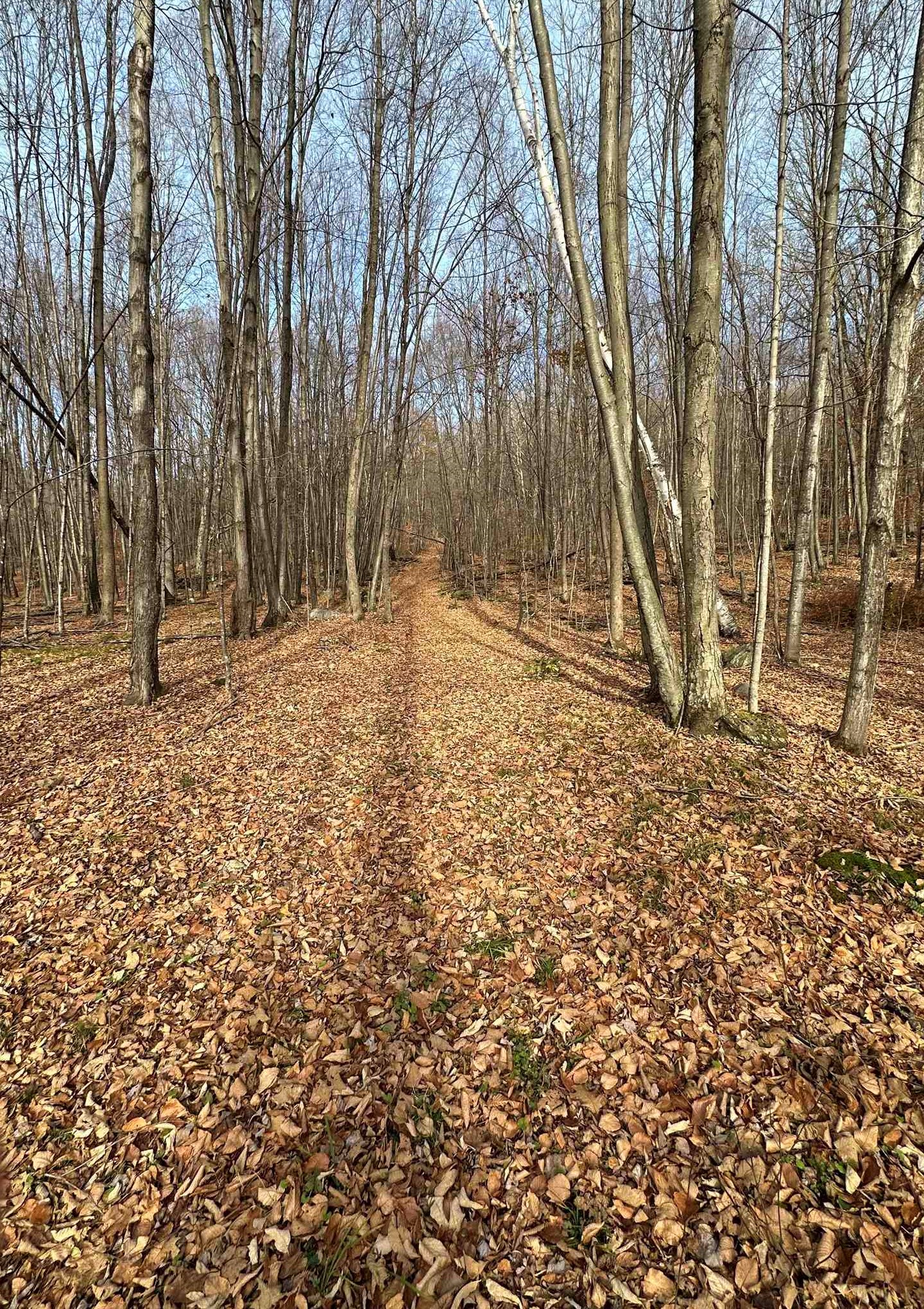 225 Danforth Drive Dorset, VT 05251 - Photo 6 of 40