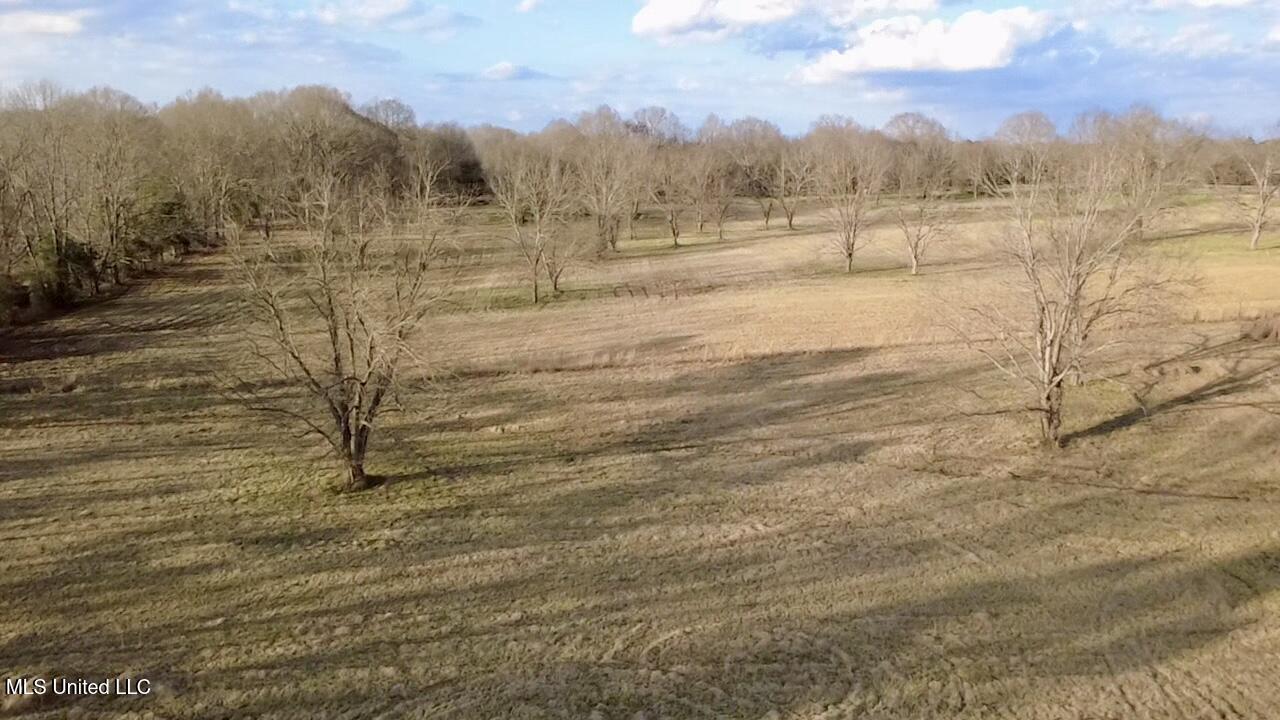 1255 North Chapel Hill Road Raymond, MS 39154 - Photo 12 of 19 2026-02-19-16-43-12-228