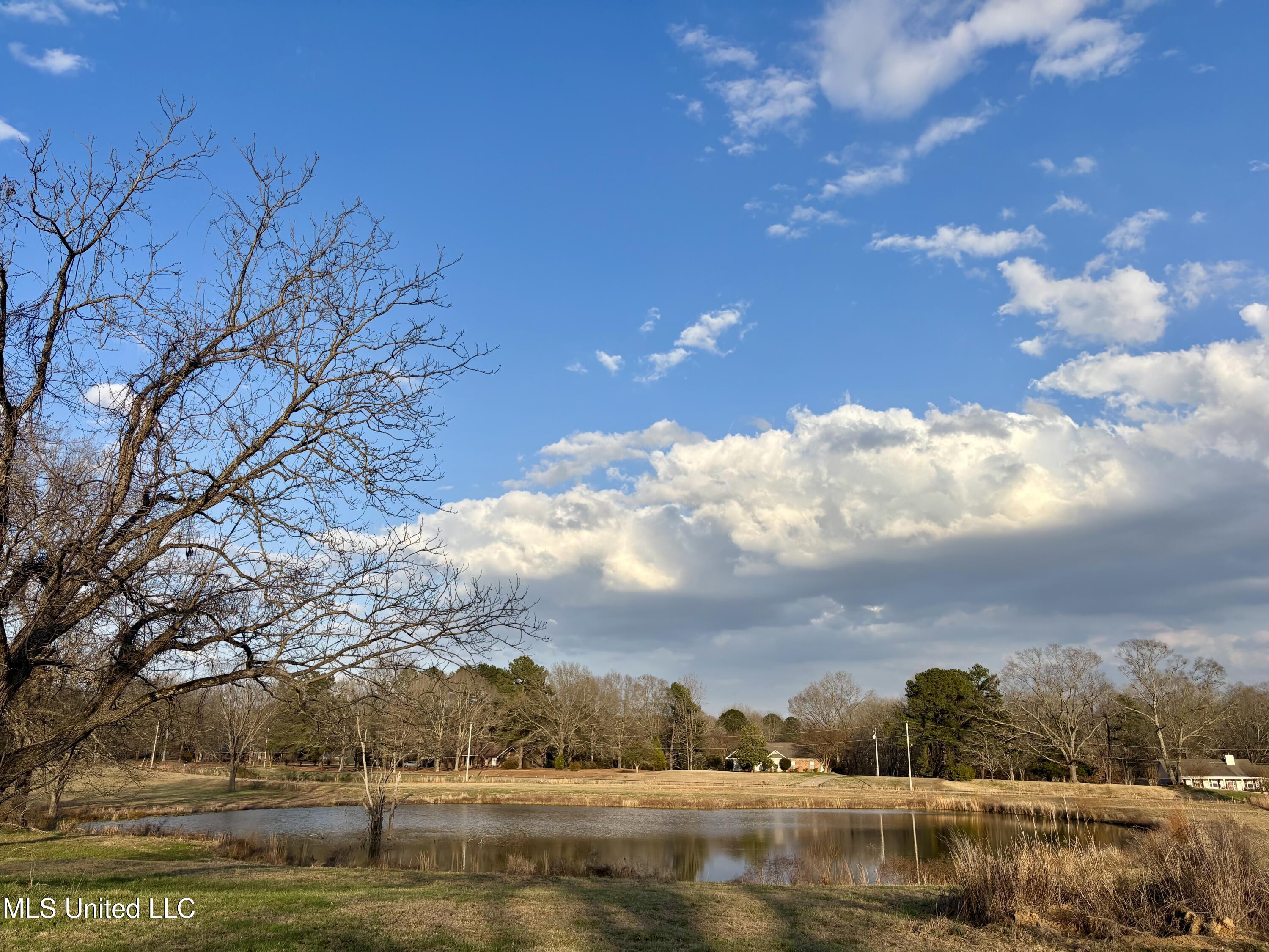 1255 North Chapel Hill Road Raymond, MS 39154 - Photo 4 of 19 IMG_3736