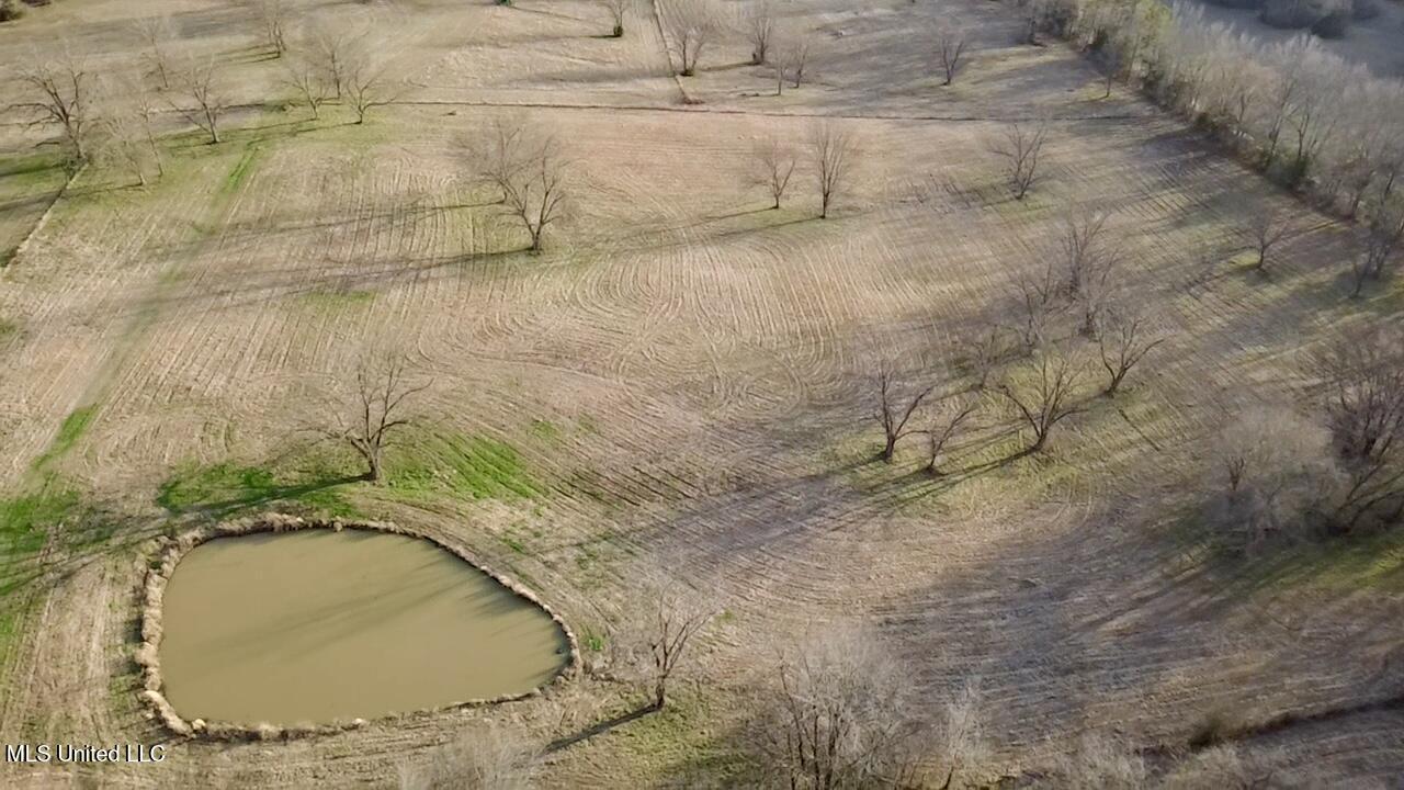 1255 North Chapel Hill Road Raymond, MS 39154 - Photo 7 of 19 2026-02-19-16-45-26-550