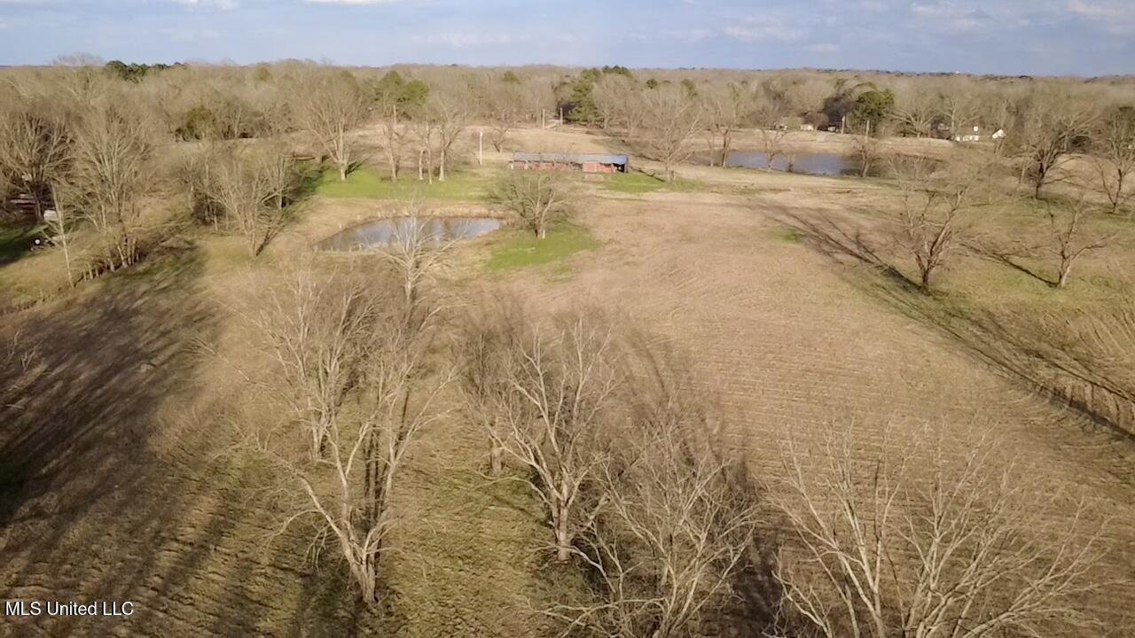 1255 North Chapel Hill Road Raymond, MS 39154 - Photo 8 of 19 2026-02-19-16-44-02-718