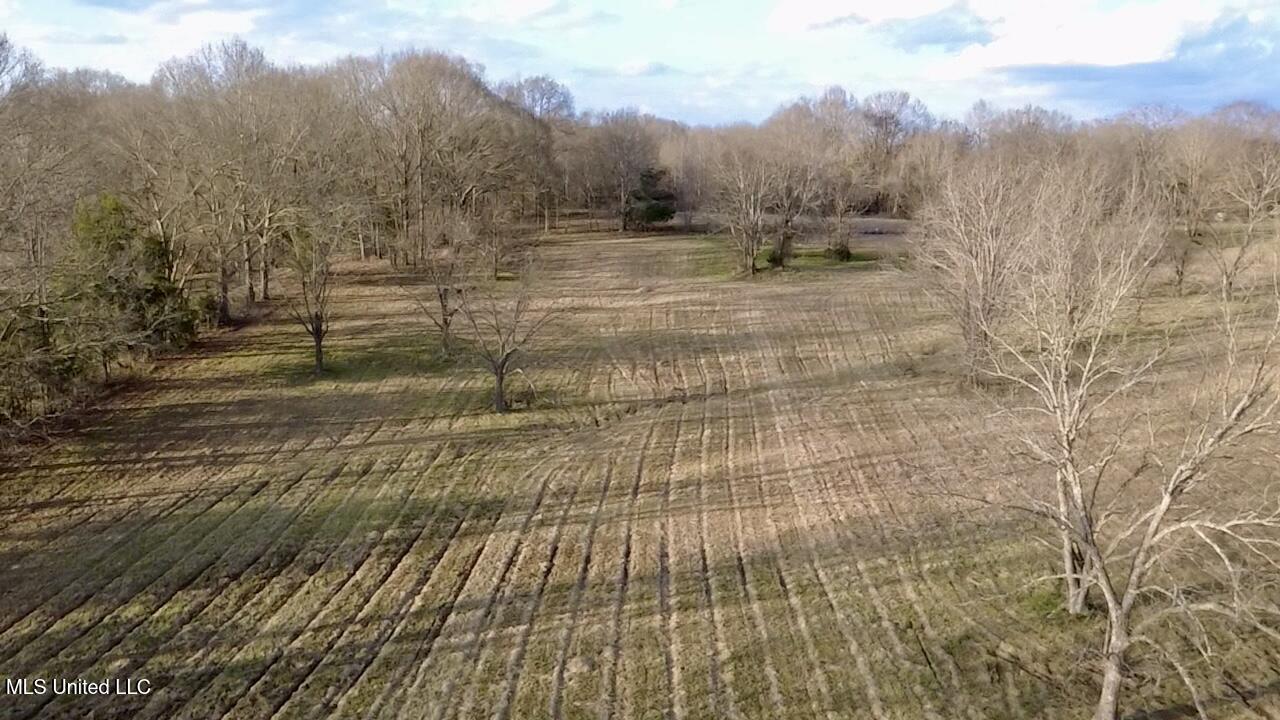 1255 North Chapel Hill Road Raymond, MS 39154 - Photo 9 of 19 2026-02-19-16-43-27-115